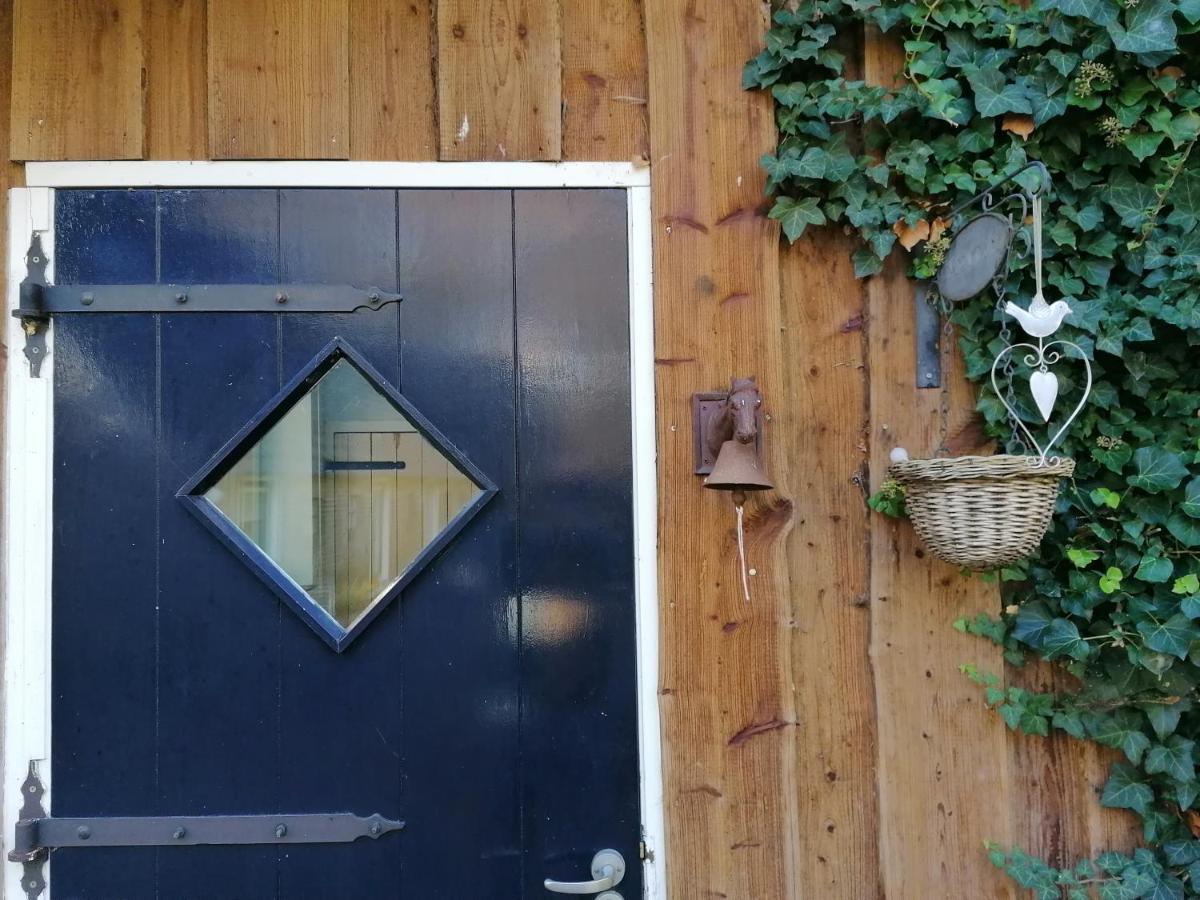 Het Bonte Paard Bed & Breakfast Dwingeloo Luaran gambar